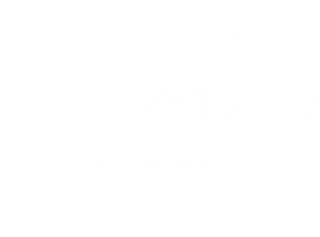 Logo UniNa Corse C-Team Bianco